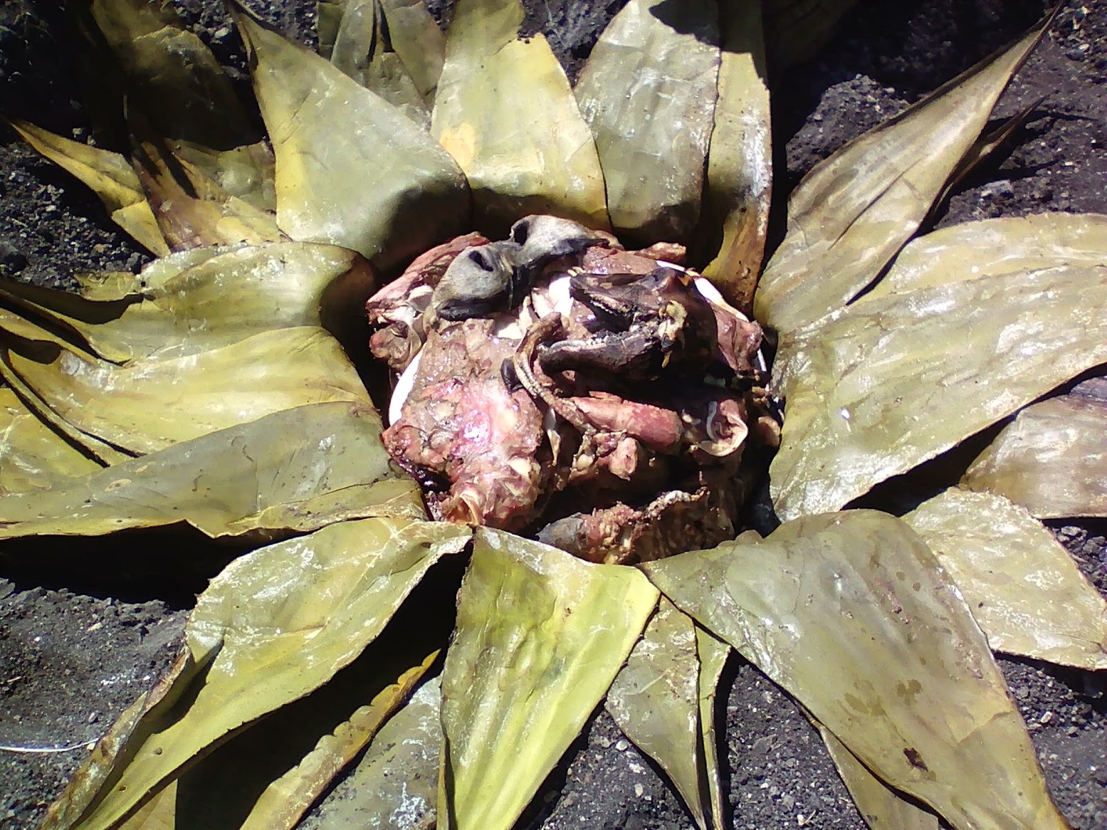 Cocina bajo tierra – Hablemos Claro