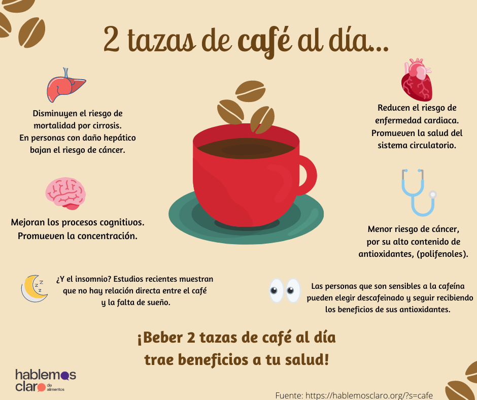 Una sola taza de café al día no es suficiente, según la ciencia: esta es la  dosis perfecta para disfrutar de sus beneficios y no pasarse